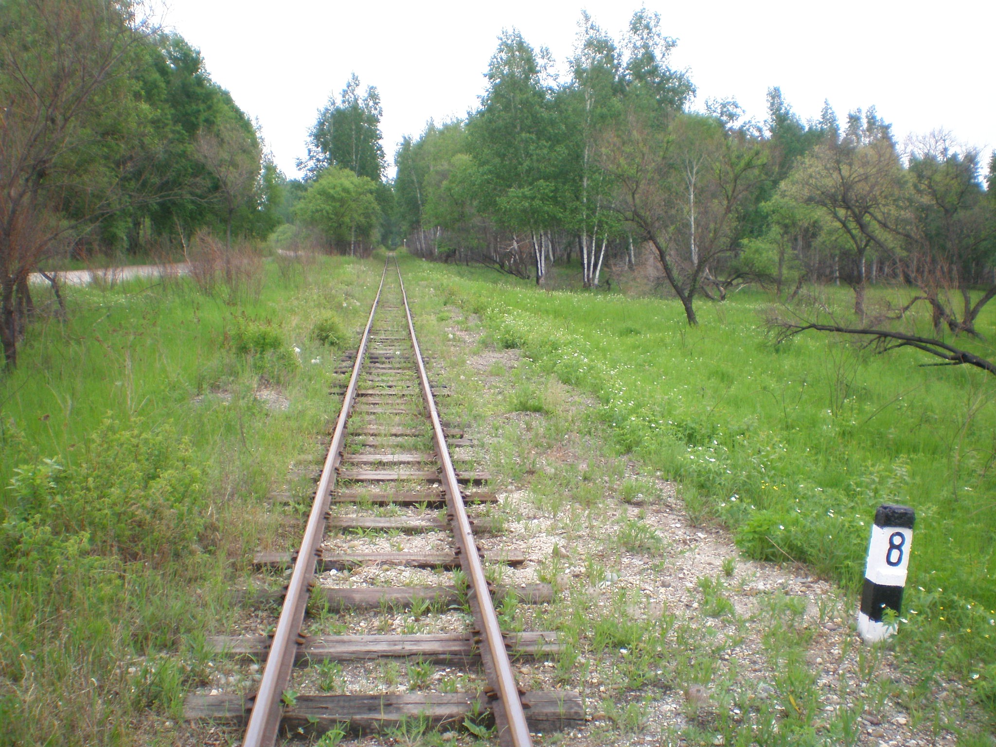 Свободненская детская железная дорога — фотографии, сделанные в 2008 году (часть 17) Свободненская детская железная дорога — фотографии, сделанные в 2008 году (часть 17)