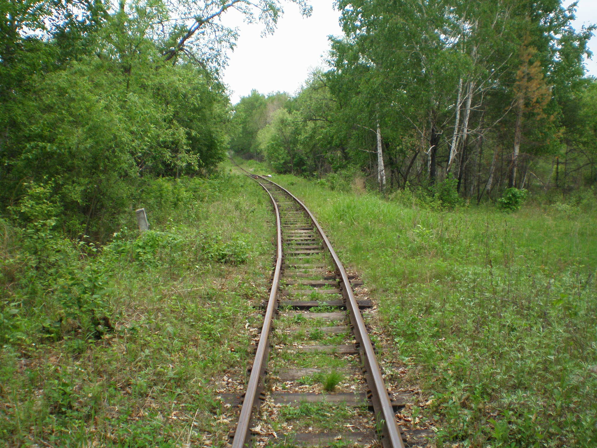 Свободненская детская железная дорога — фотографии, сделанные в 2008 году (часть 18) Свободненская детская железная дорога — фотографии, сделанные в 2008 году (часть 18)