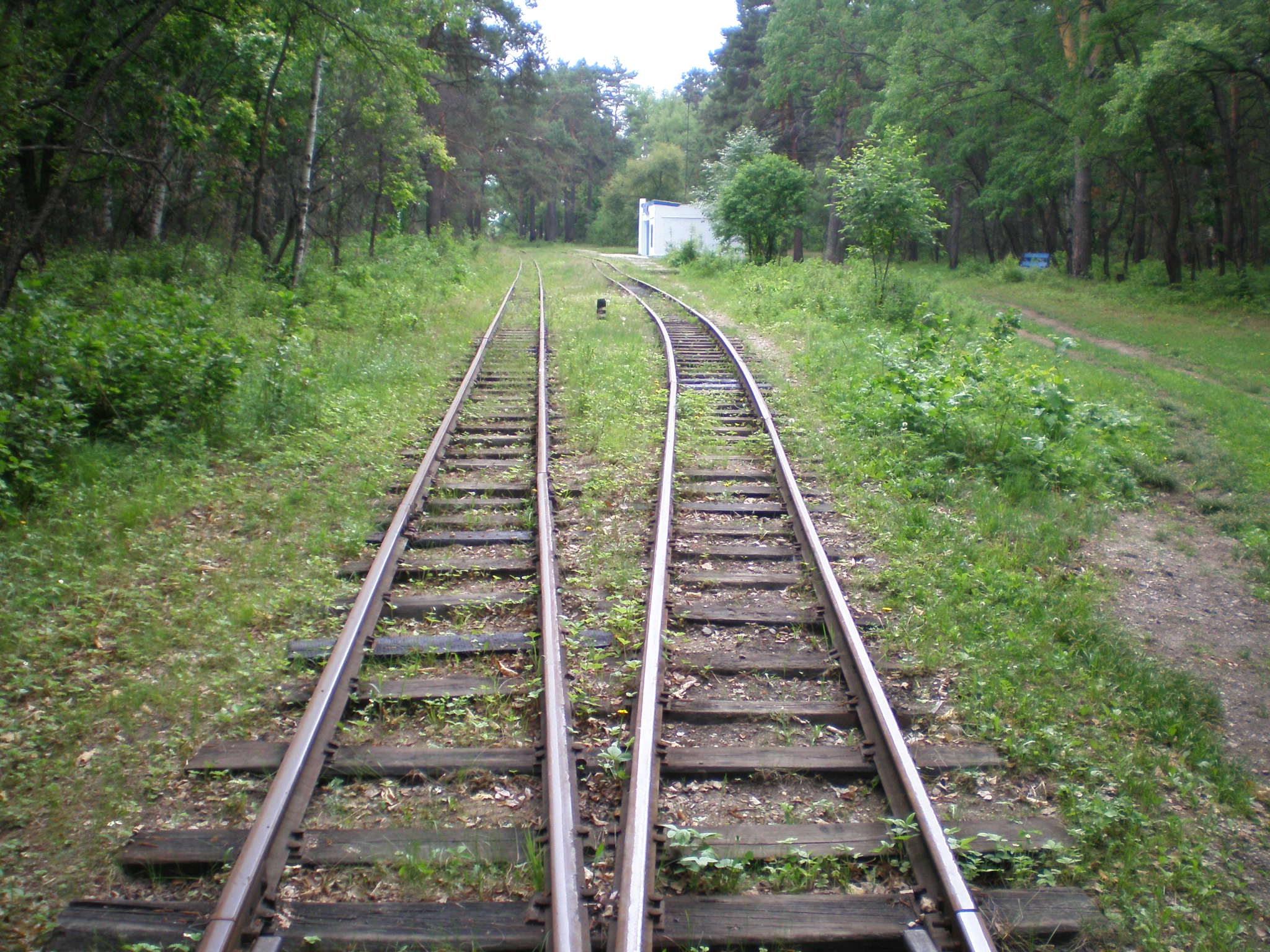 Свободненская детская железная дорога — фотографии, сделанные в 2008 году (часть 19) Свободненская детская железная дорога — фотографии, сделанные в 2008 году (часть 19)