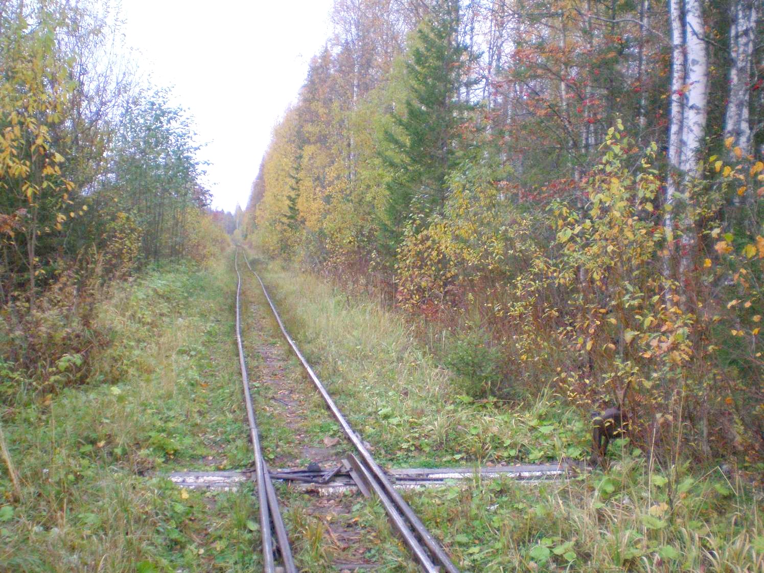 Лунданская узкоколейная железная дорога — фотографии, сделанные в 2007 году (часть 6) Лунданская узкоколейная железная дорога — фотографии, сделанные в 2007 году (часть 6)