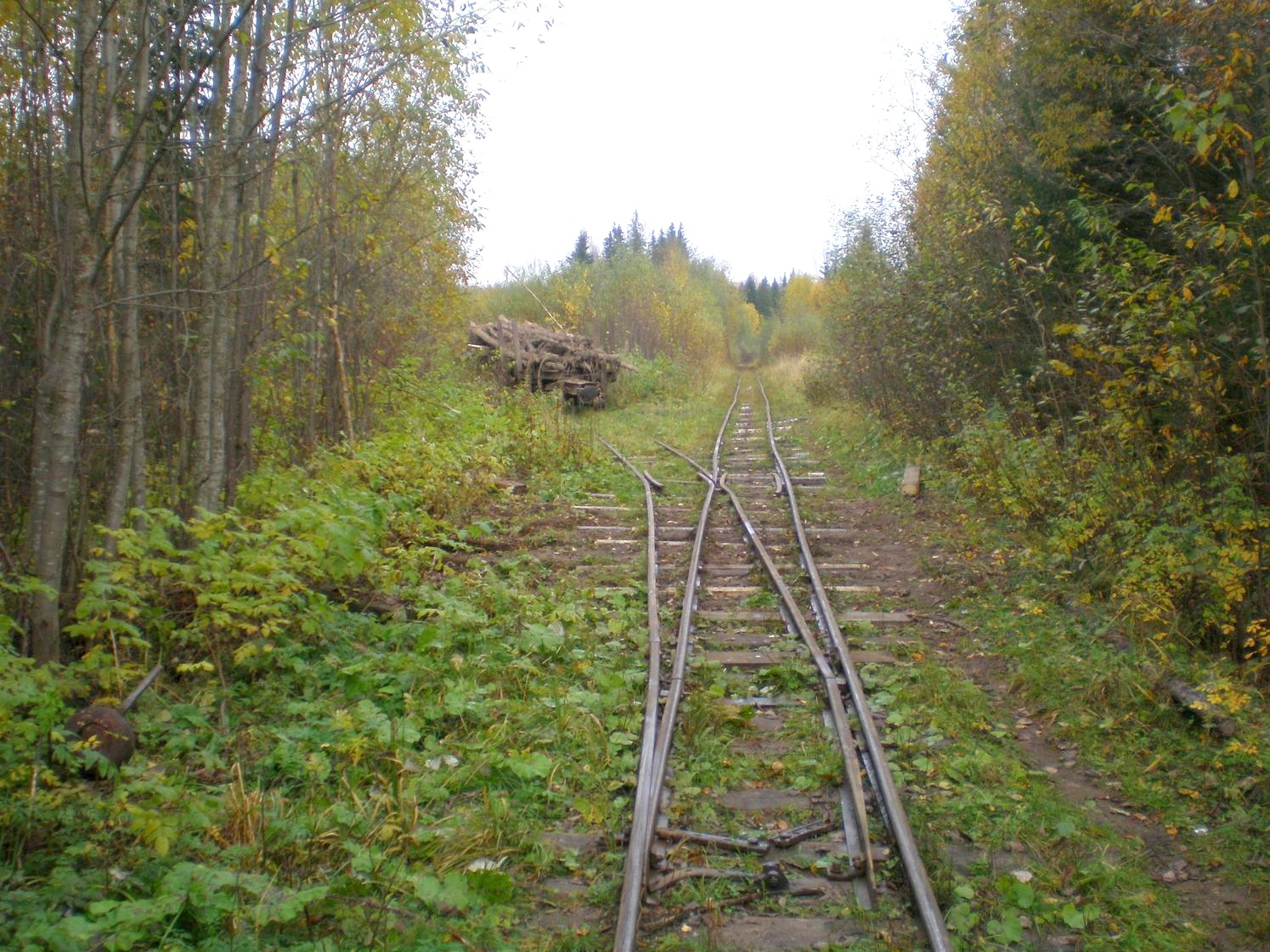 Лунданская узкоколейная железная дорога — фотографии, сделанные в 2007 году (часть 8) Лунданская узкоколейная железная дорога — фотографии, сделанные в 2007 году (часть 8)