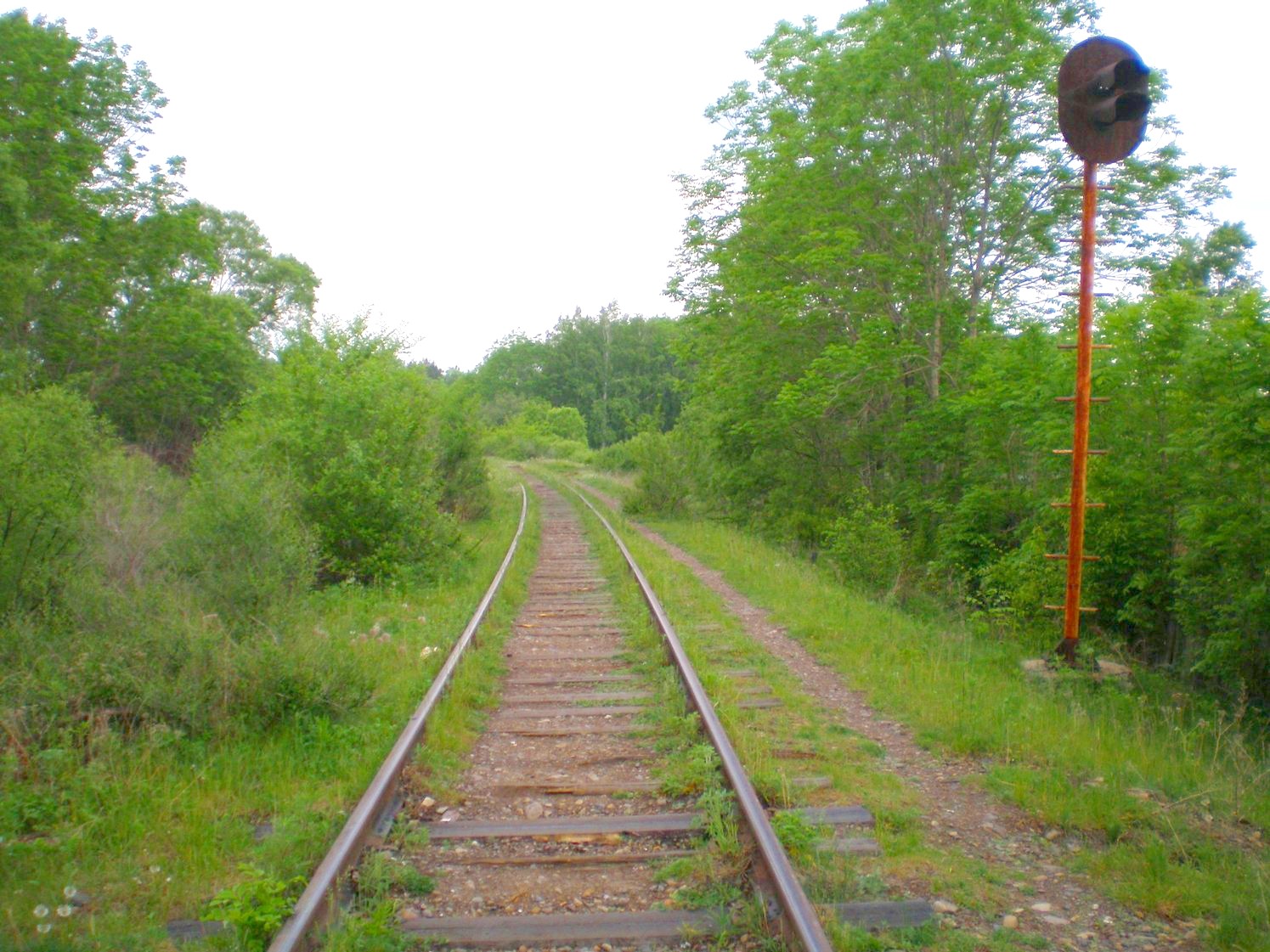 Оборская железная дорога — фотографии, сделанные в 2008 году (часть 2) Оборская железная дорога — фотографии, сделанные в 2008 году (часть 2)