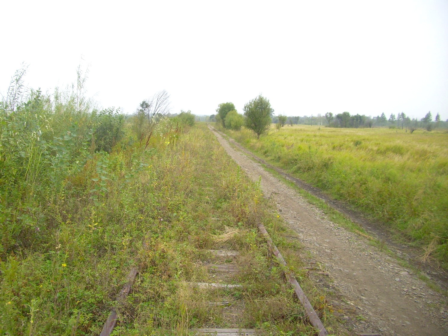 Оборская железная дорога — фотографии, сделанные в 2009 году (часть 6) Оборская железная дорога — фотографии, сделанные в 2009 году (часть 6)