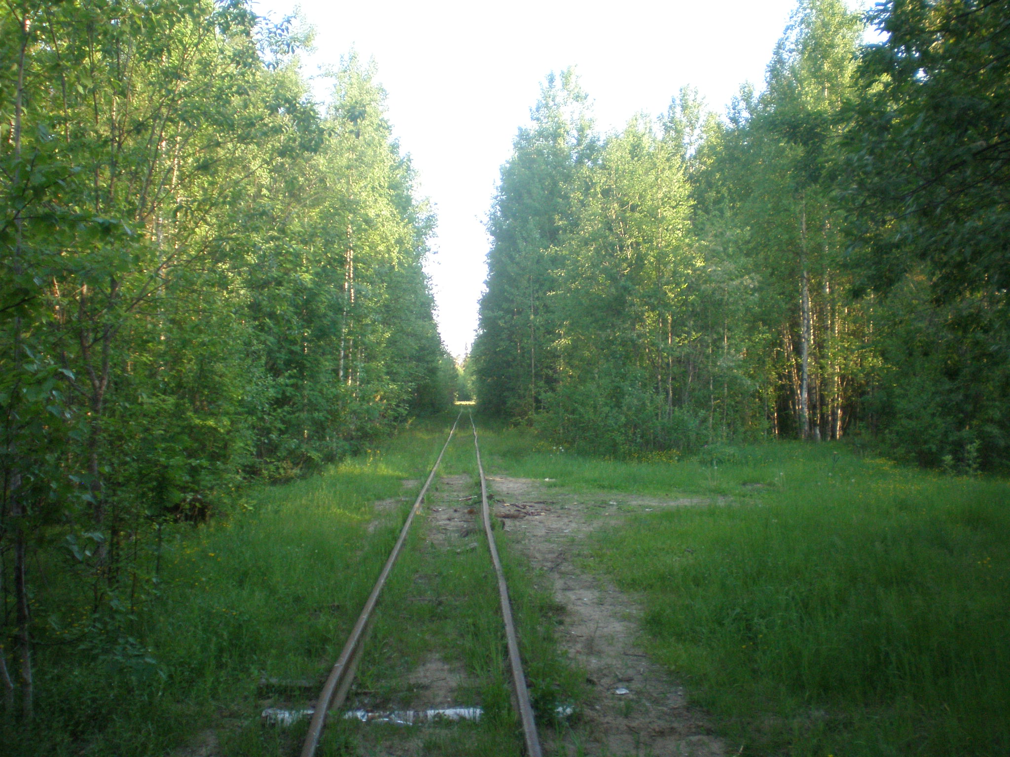 Смолянская узкоколейная железная дорога — фотографии, сделанные в 2008 году (часть 4) Смолянская узкоколейная железная дорога — фотографии, сделанные в 2008 году (часть 4)
