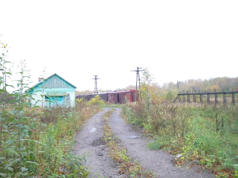 Поездки в Радовицкий Мох и Приозёрный, октябрь 2012 года Поездки в Радовицкий Мох и Приозёрный, октябрь 2012 года